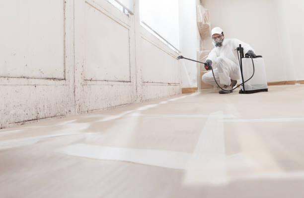 24/7 Emergency Commercial Mold Remediation experts in Hudson, FL