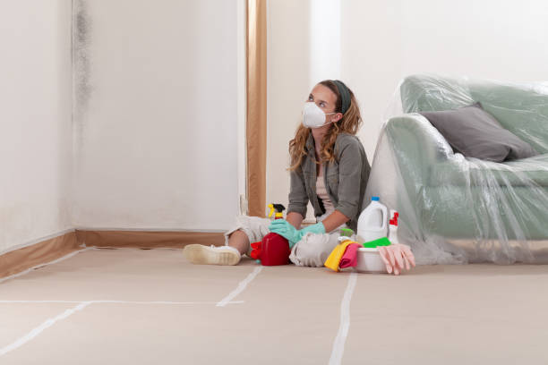 Reliable Commercial Mold Remediation contractor in Hudson, FL by WQB Mold Removal