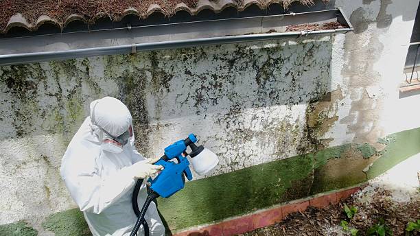 Top rated local Commercial Mold Remediation specialists in Hudson, FL
